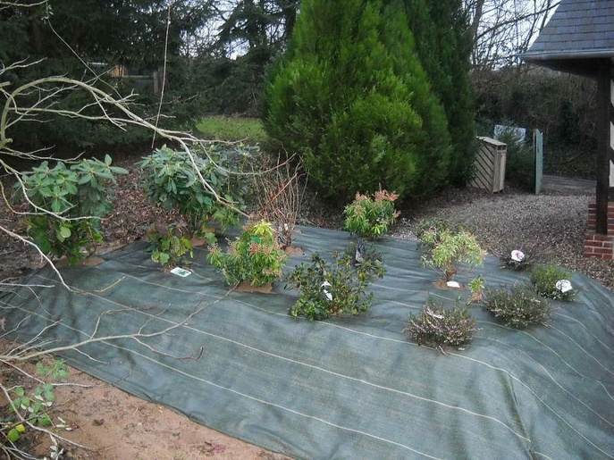 Aménagement de jardin à Honfleur